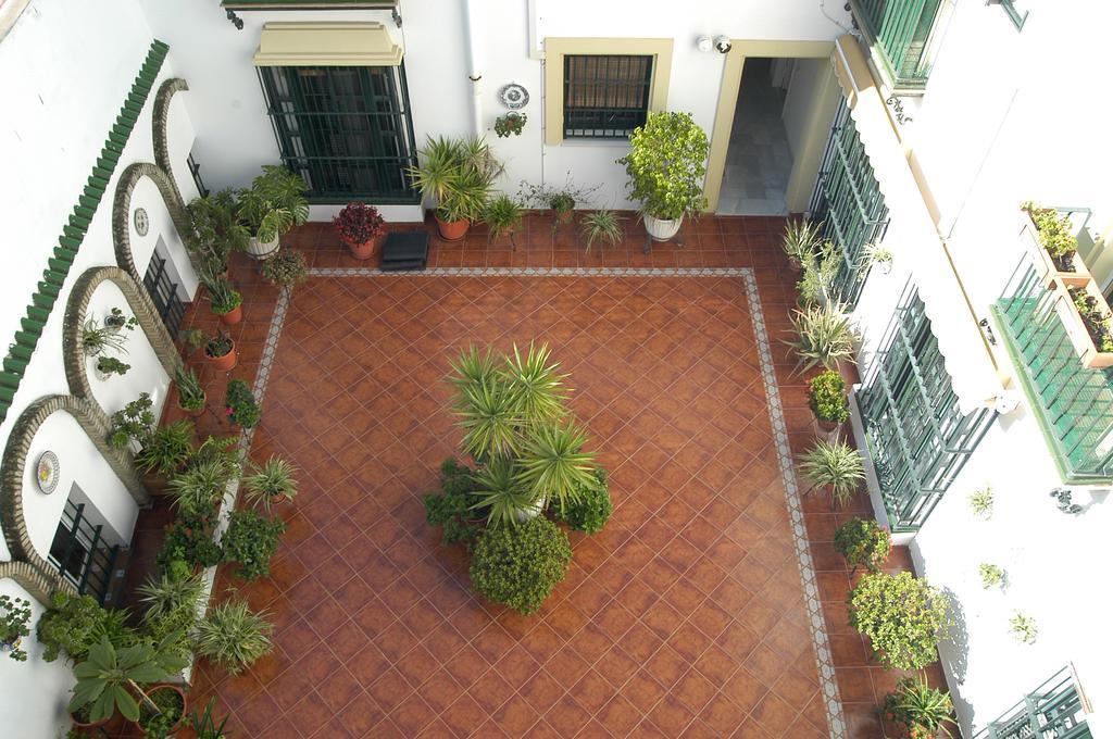 Apartamento Los Olivos Jerez Jerez de la Frontera Room photo